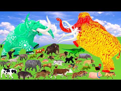 Incredible Animals  2026 Race vs Dinosaurs vs Prehistoric Mammals Speed Race Run: Who Will Win? ARBS