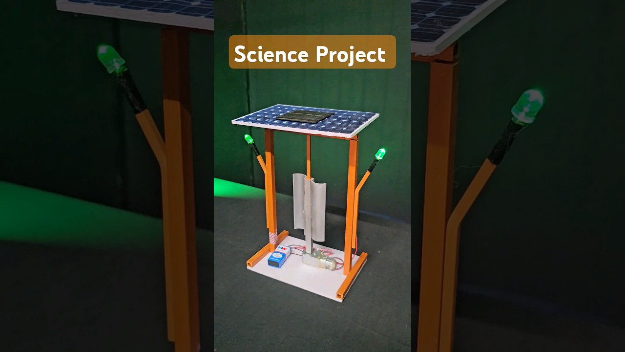 science Project idea 2024