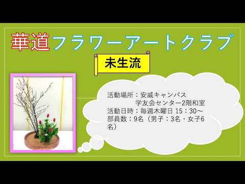 【課外活動紹介】華道フラワーアートクラブ（追手門学院大学）