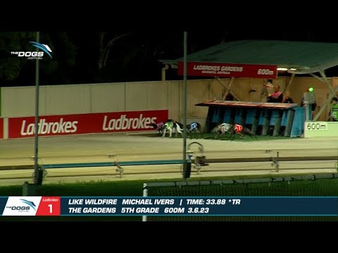 Like Wildfire - The Gardens Track Record