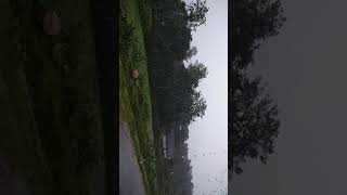 preview picture of video 'Heavy monsoon rains in kodagu shanivarasanthe'