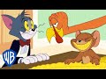 Tom Jerry Catch The Turkey WB Kids
