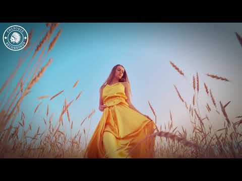 Dani Corbalan - My Perfect Type (Official Video)