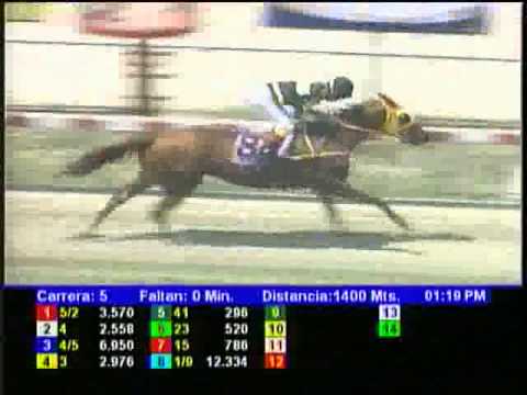 Resumen Viernes, 12 de Abril de 2013 - La Rinconada