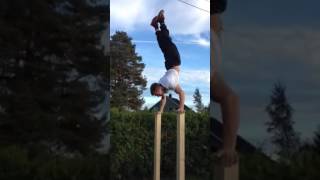 faze tari sta in maini