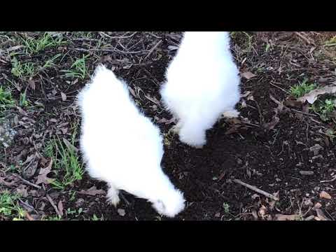 1BEADEBA 01DD 4719 97E1 745895D5DD4B