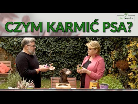 Czym karmić psa? - EkoBosacka, odc. 115