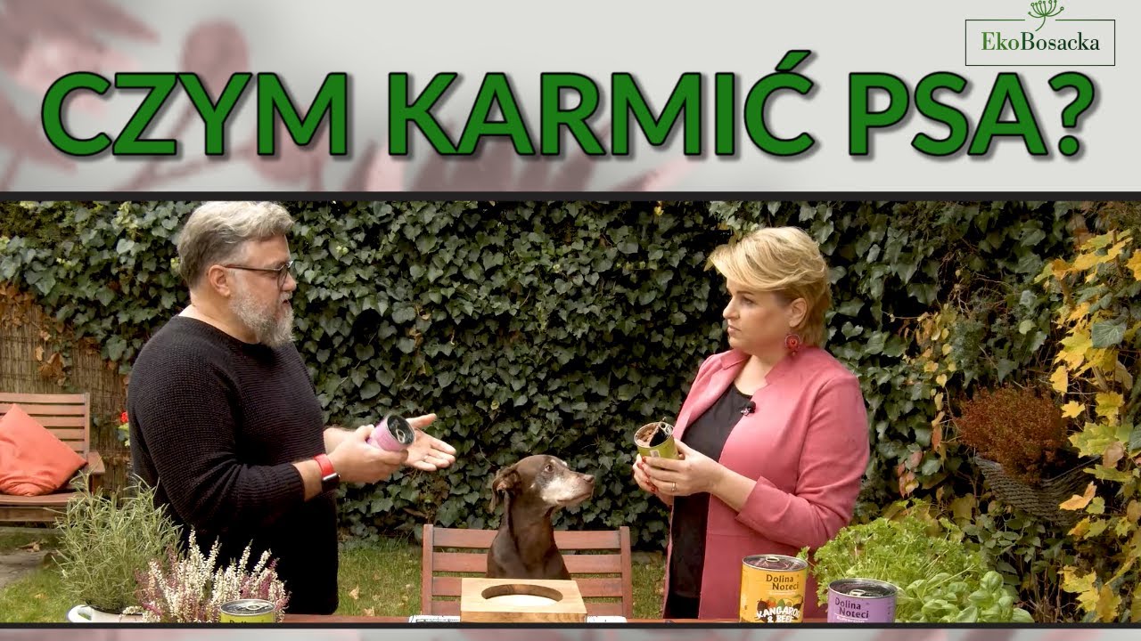 Czym karmić psa - EkoBosacka, odc. 115