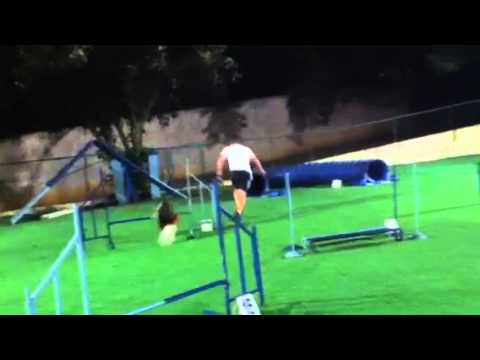 Renan e Nitro - 29.12.2012