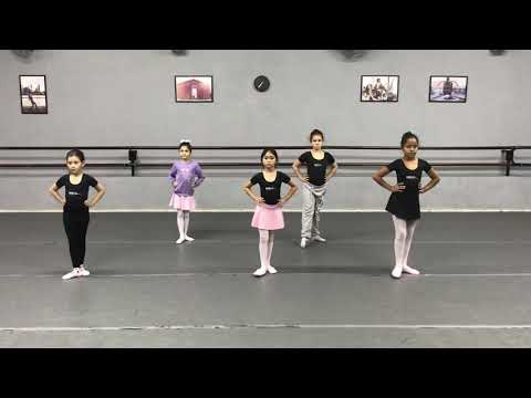 , title : 'Aula de Ballet Infantil em São Caetano'