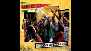 Alborosie - Rock The Dancehall - Sound The System 2013