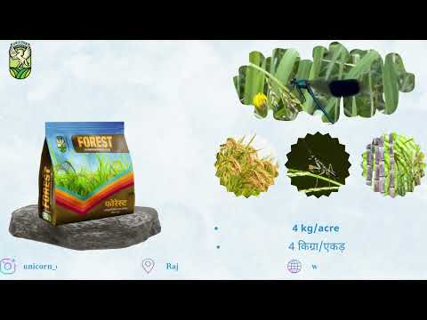 Chlorantraniliprole 0.4 Gr All Products FOREST