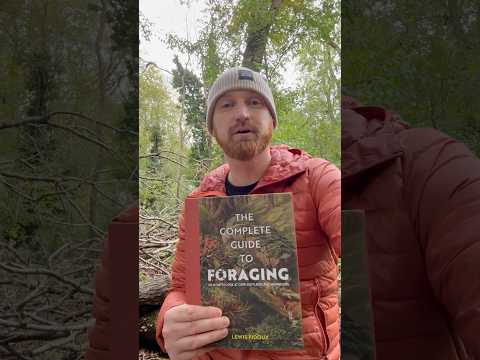 The Complete Guide To Foraging #foraging #mushrooms #wildfood #plants #trees #recipes