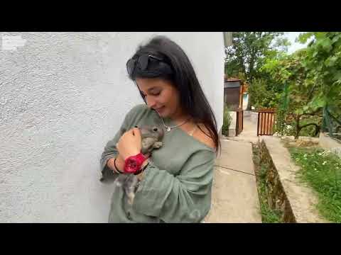 U SELU TOMIĆI RODILA SE PRELIJEPA PORODIČNA PRIČA!