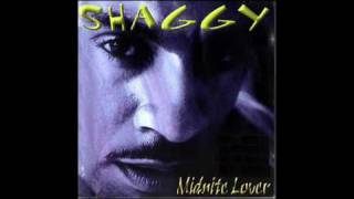 Shaggy - 01 My Dream