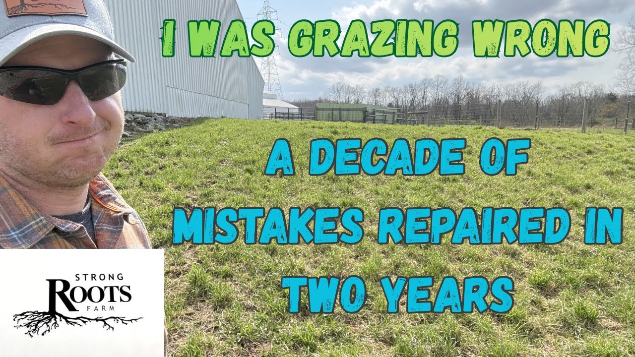 Worst Spring Grazing Mistake in Cattle