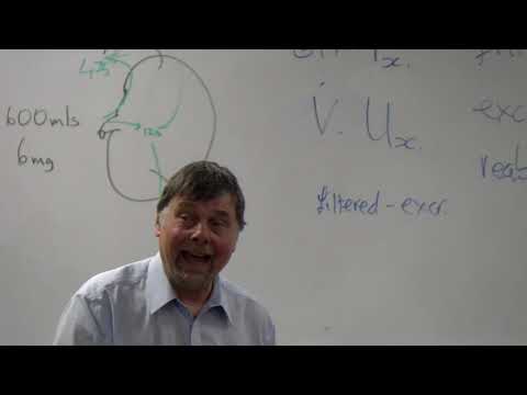 Quantitative Indicies of Renal Failure - Renal Physiology Dr. Brian Rowe