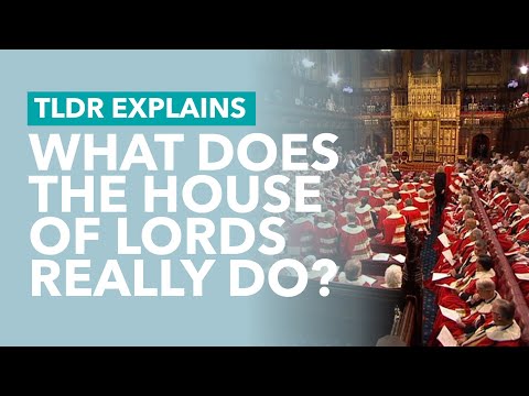 What Does the House of Lords Really Do? - TLDR Explains