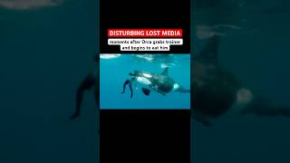 Scary video after Captive Orca grabs trainer
