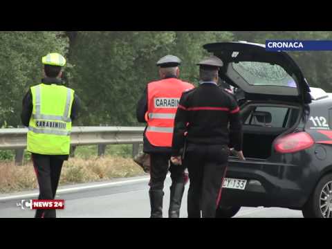 Vibo: uccisa da un pirata della strada