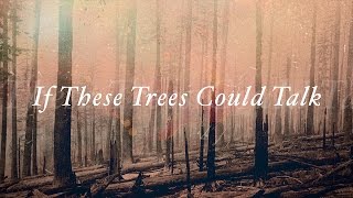 If These Trees Could Talk - They Speak with Knives (OFFICIAL)