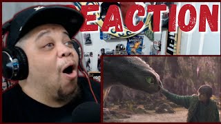 HOW TO TRAIN YOUR DRAGON TEASER TRAILER | REACTION | NONPFIXION