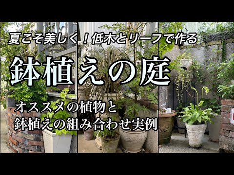 コンテナ・ポット用開花標準茎 庭の練習