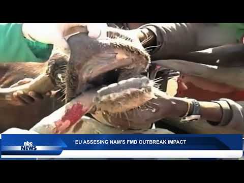 EU ASSESSES NAMIBIA'S FMD OUTBREAK - nbc
