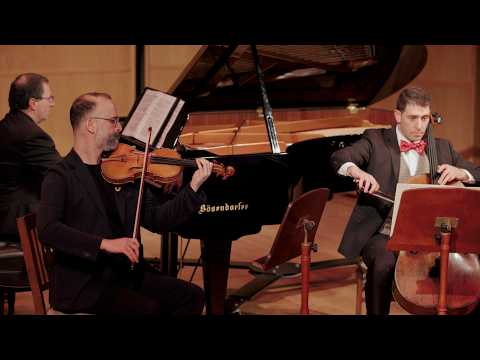 BRAHMS | Piano Trio No.1 Op.8 | Aegis Trio LIVE | Kurganov, Lelchuk, Finehouse