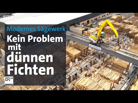 Modernstes Sägewerk Europas steht in Wunsiedel | BR24