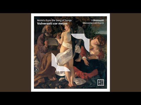 Vulnerasti cor meum