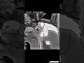 TORIHO Doraemon Edit Nobita And Three Visionary Swordsmen