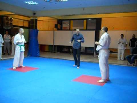 Aleksandar Sakovic Sakoni VS Milos Teixeira Jakovljevic (kyokushin)