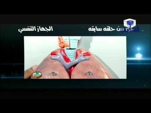 شرح مكونات &quot; الجهاز التنفسي&quot; مع أ/ حسن محرم - اخراج ايمان محمد على