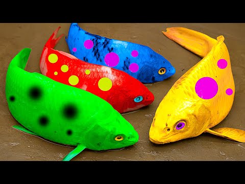 Mother Koi Rescuing Koi Flocks From Yellow Carp 💕 Primitive Cooking 💕 Stop Motion ASMR 💕 Coco