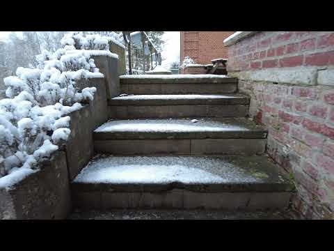 MongoTV_7956 - MIN GÅTUR - Del 7 - Juledag Fredag 24.December 2021 - HVID JUL