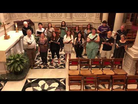 Pater Peccavi (Crecquillon) Schola Cantorum St. Matthew’s Cathedral