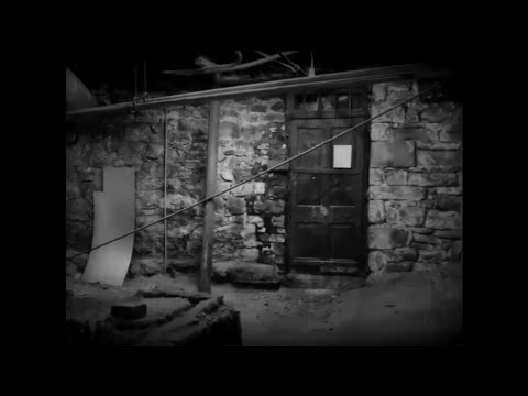 ALLIGATOAH & JACK VON CRACK 💀 Es ist Fantasie 💀