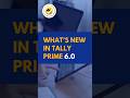 Discover The New Features In Tally Prime 6 0 Tally Accounting Businessintelligence