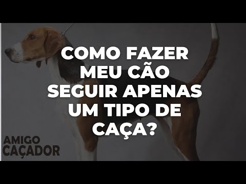COMO FAZER MEU CÃO SEGUIR APENAS UM TIPO DE CAÇA? | Dica #118 | Amigo Caçador - Rogério Amaro