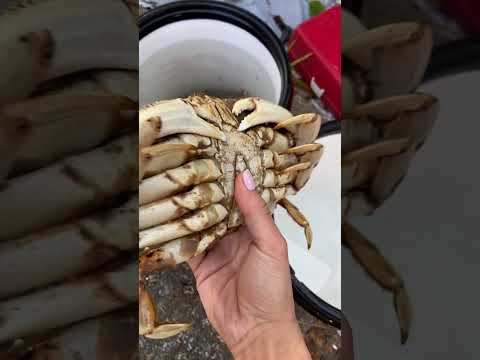 How To Cook Crab - The easiest and best way! #crabbing #crab #crabrecipe
