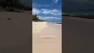 Day 6 - Grand Turk Cruise Port: Home Sweet Home Beach Excursion 🛳️ #carnivalcelebration