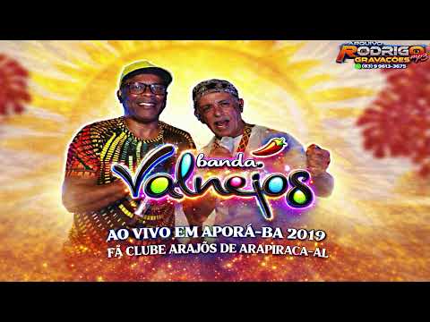 🎶💿BANDA VALNEIJOS AO VIVO EM APORÁ-BA 2019 PALCO