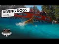 Incredible Dog Challenge Dog Diving National Championship NBC Sports