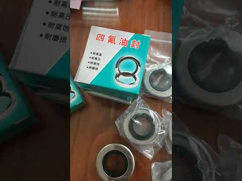 Double Lip Stainless Steel PTFE Oil Seals China factory