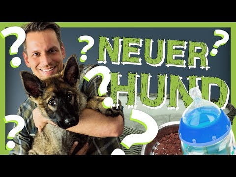 Puppy moving in | How to prepare perfectly for your new puppy