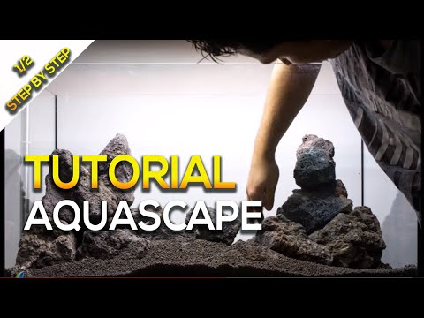 Tutorial Aquascape Nature Aquarium Tank Step by Step by Giuseppe Nisi