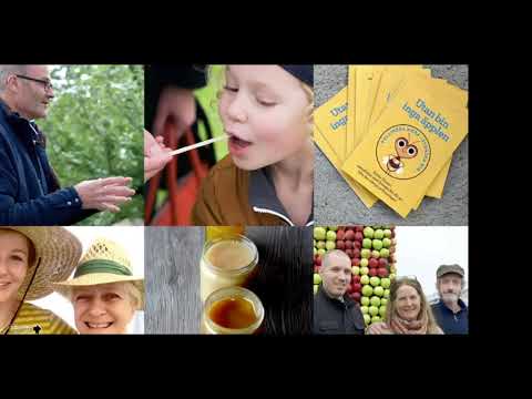 Vad är svensk honung?