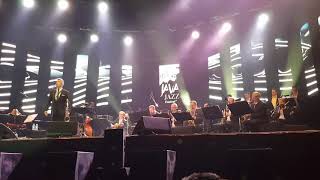 Curtis Stigers I Wonder Why