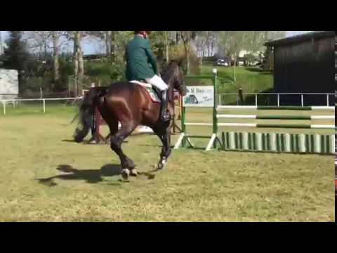 Landskron v. Lahnstein zum Turnier in Lößnitz 2017